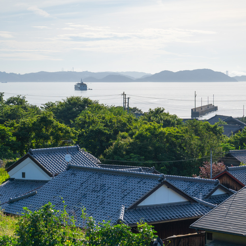 2026 Special Autumn A four-day voyage to enjoy a special island
