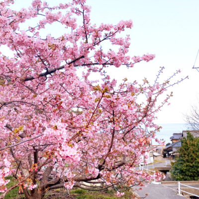 A four-day spring voyage to an early spring voyage to discover Setouchi traditions